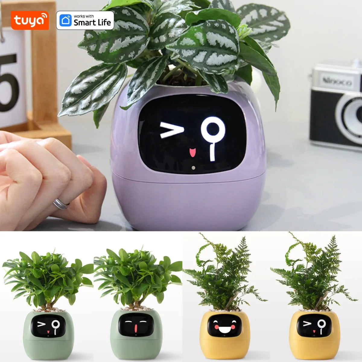 Tuya Ivy Smart Planter