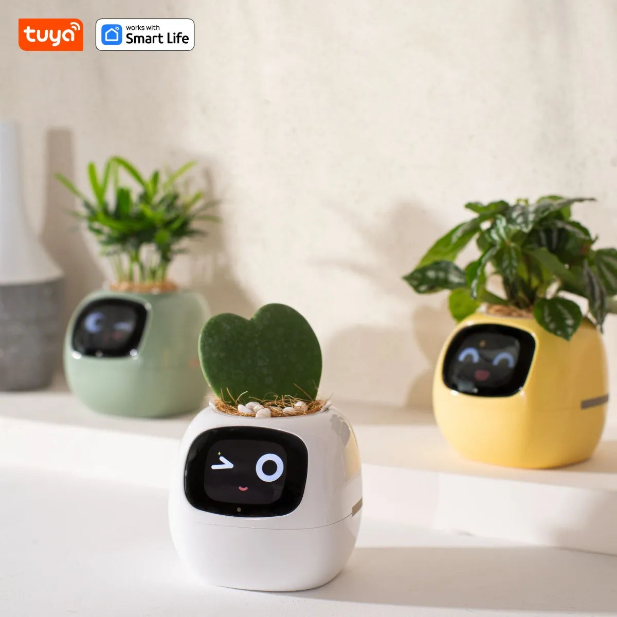 Tuya Ivy Smart Planter